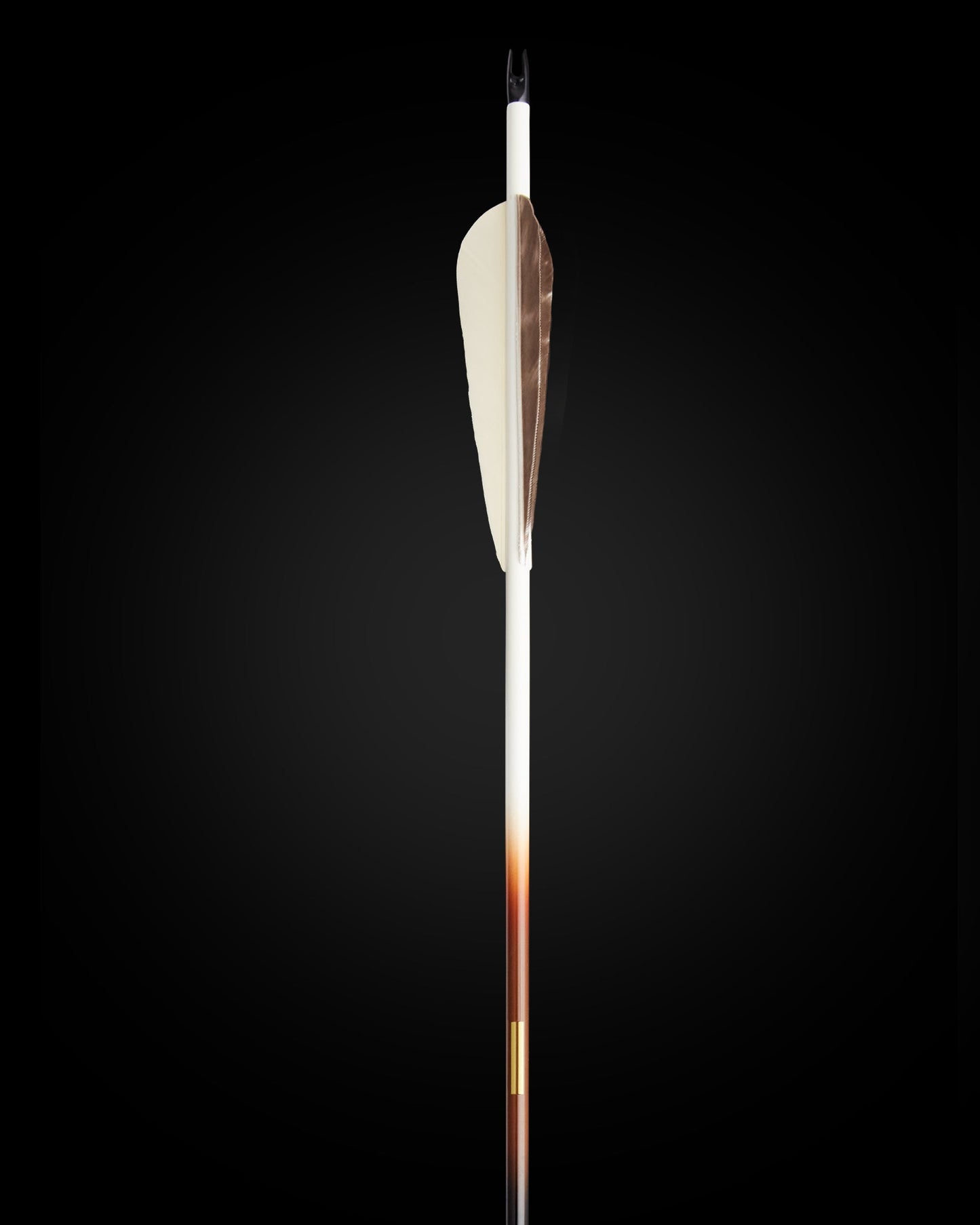 LTD EDITION CLEARSHOT CARBON ARROW