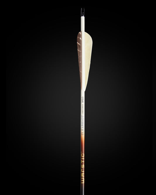 LTD EDITION CLEARSHOT CARBON ARROW