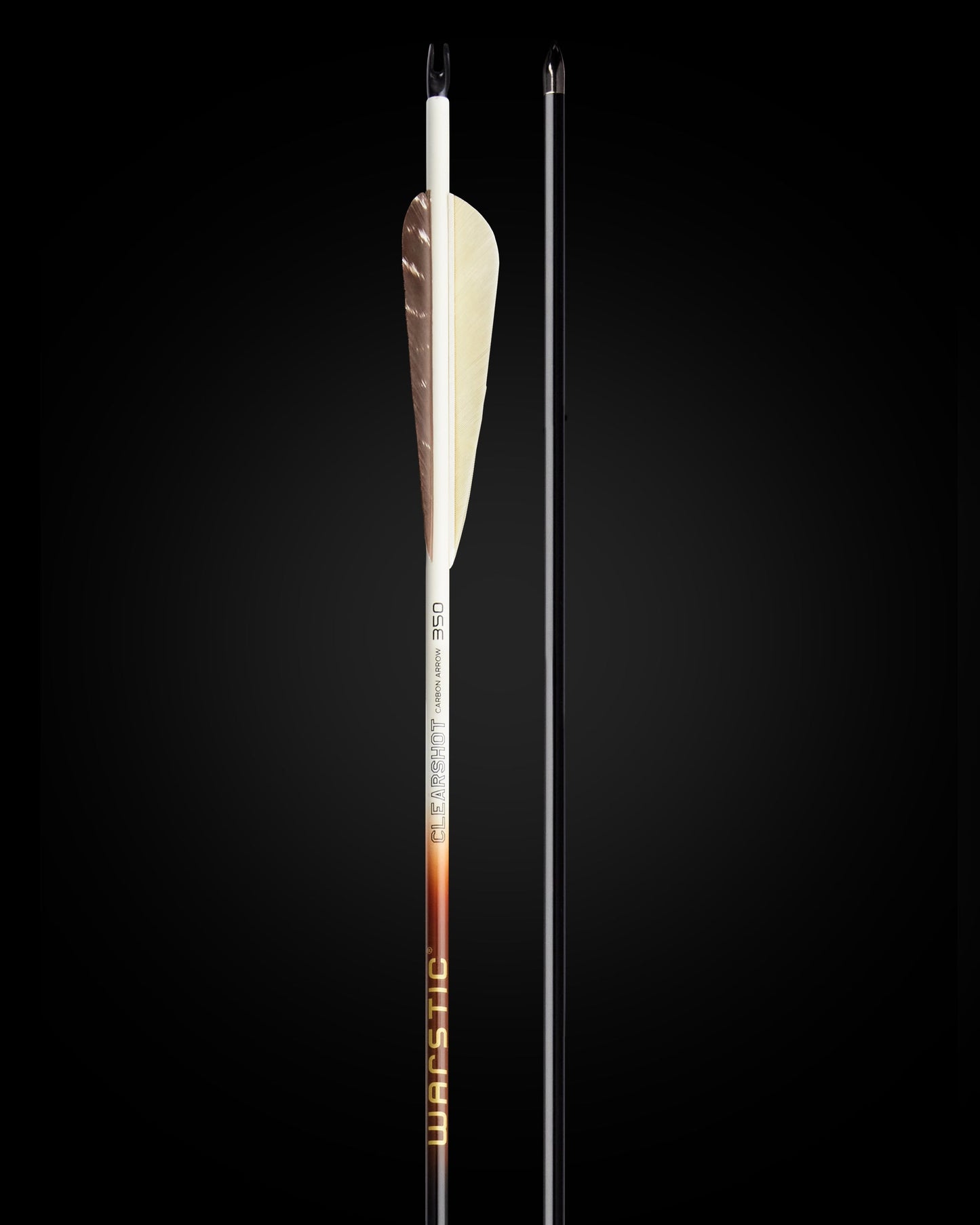 LTD EDITION CLEARSHOT CARBON ARROW