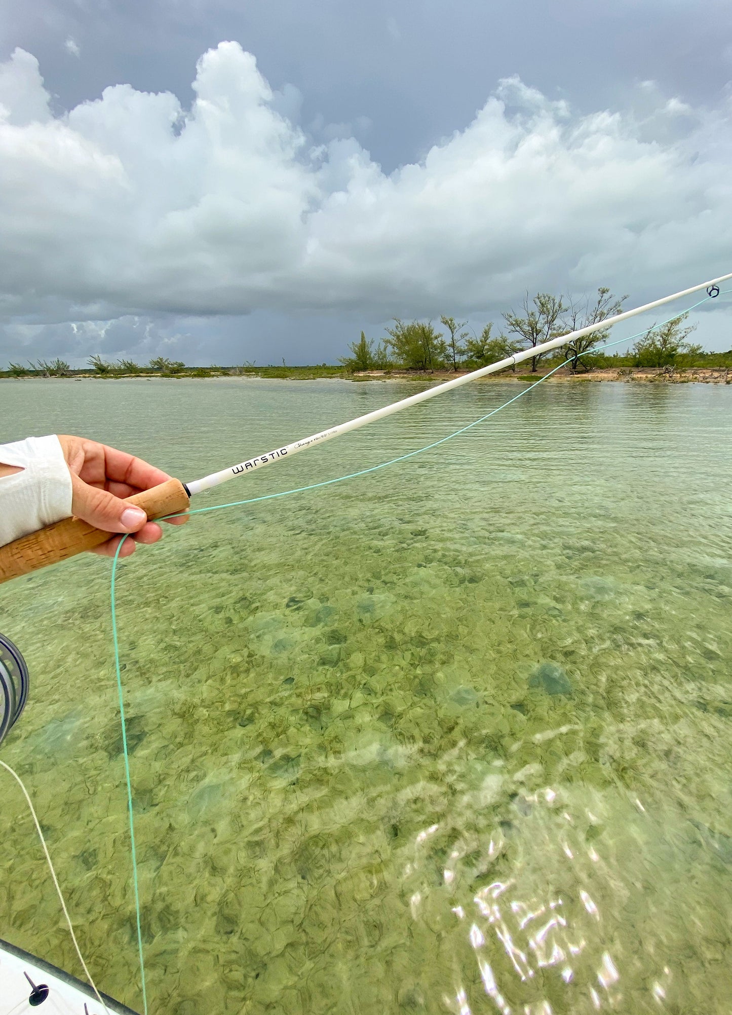 CHARGR COASTAL FLY ROD - 8WT